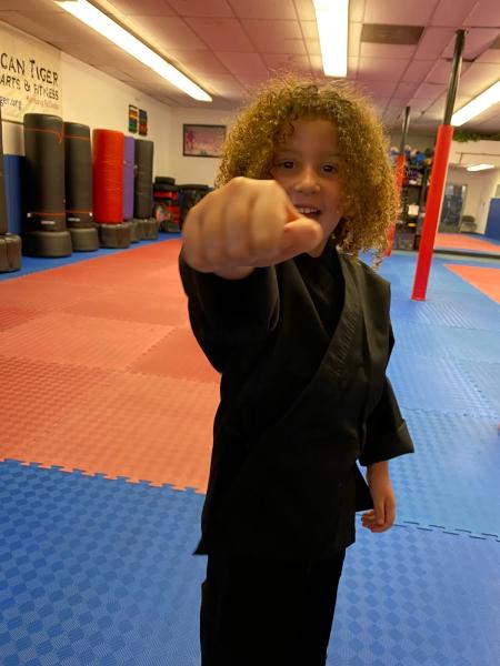 American Tiger Martial Arts