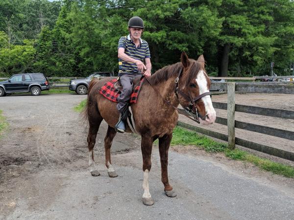 City Island Stables