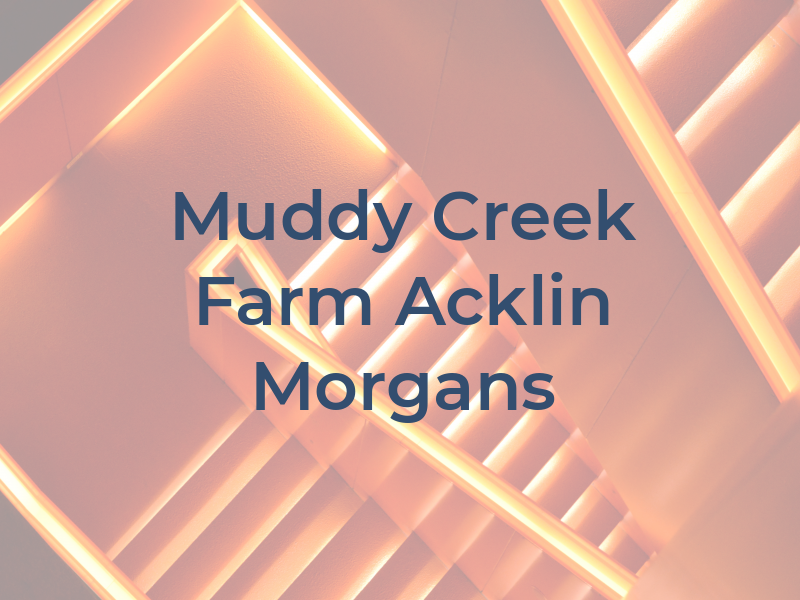 Muddy Creek Farm & Acklin Morgans