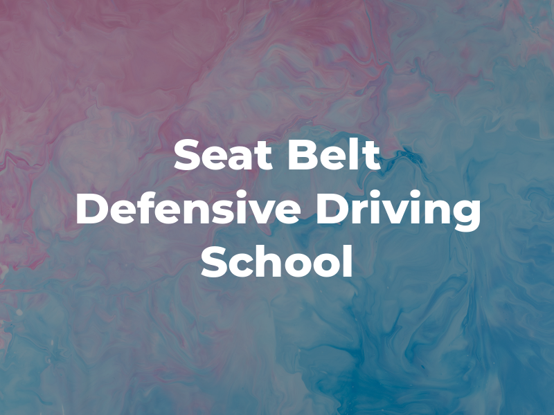 My Seat Belt Defensive Driving School