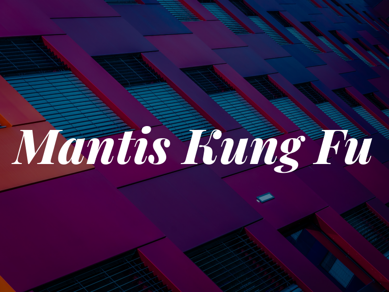 Mantis Kung Fu