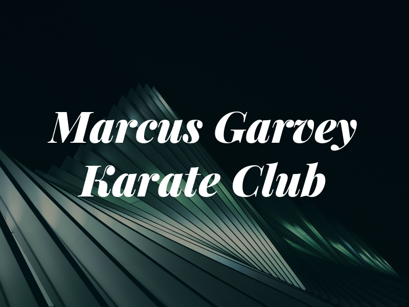 Marcus Garvey Karate Club