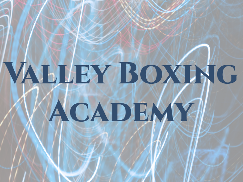 Mid Valley Boxing Academy