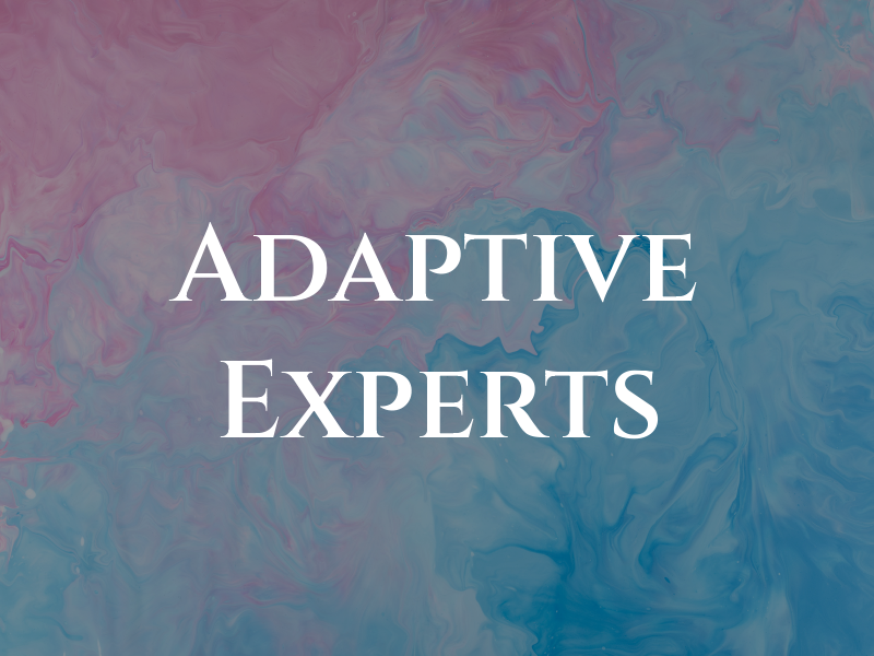 Adaptive Experts