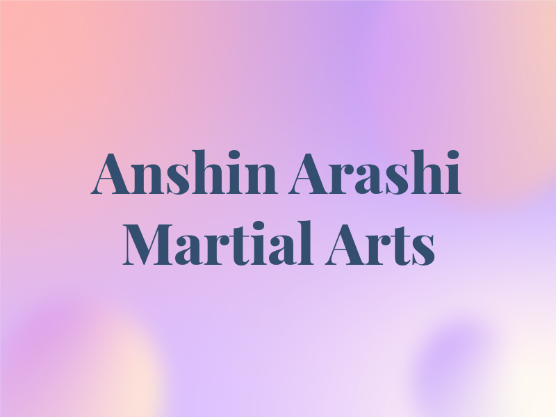 Anshin Arashi Martial Arts