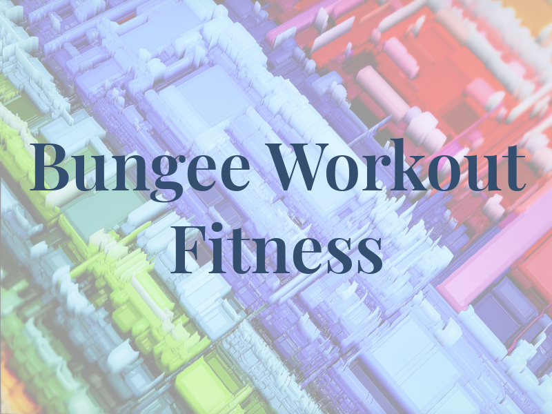 Bungee Workout Fitness