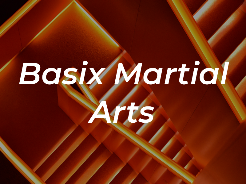 Basix Martial Arts