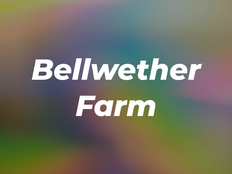 Bellwether Farm