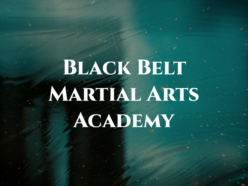 Black Belt Martial Arts Academy