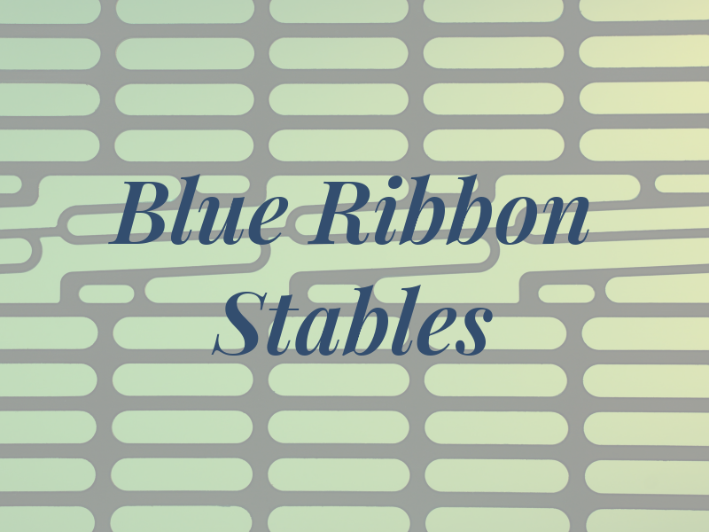 Blue Ribbon Stables Inc