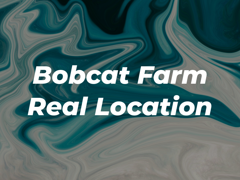 Bobcat Farm Real Location