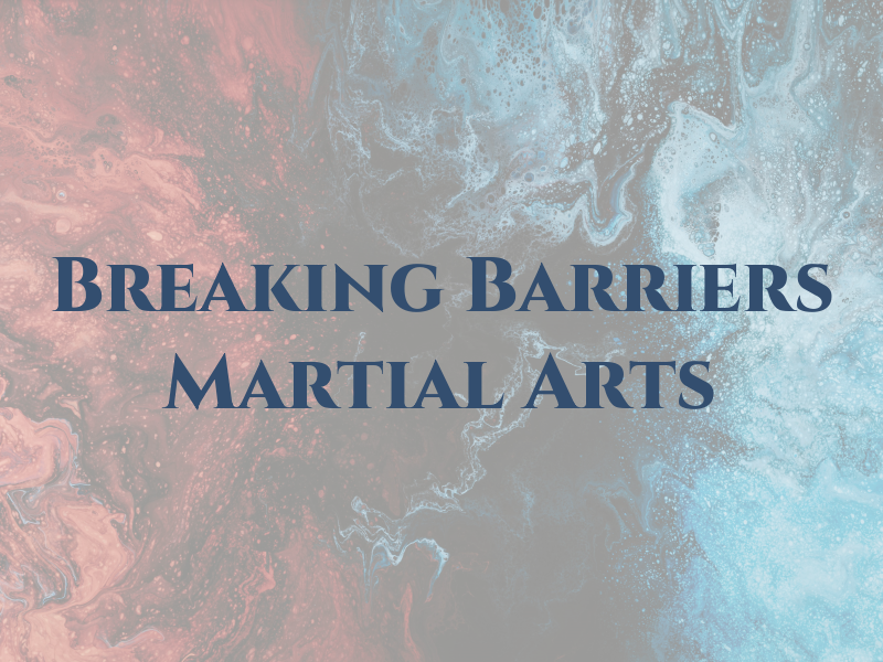 Breaking Barriers Martial Arts LLC