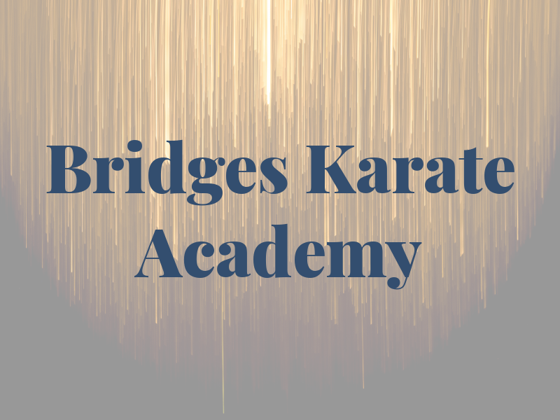 Bridges Karate Academy