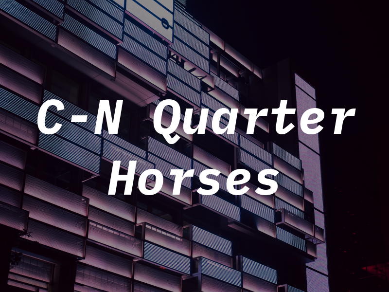 C-N Quarter Horses