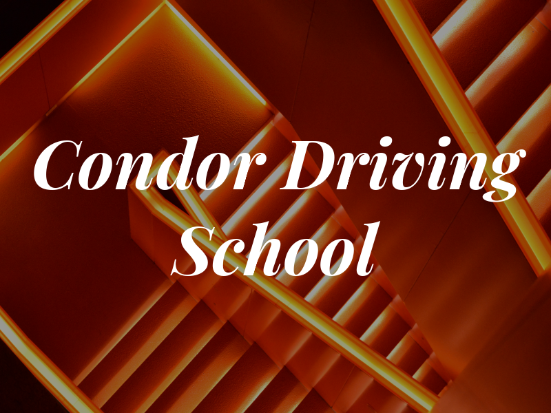 Condor Driving School 01