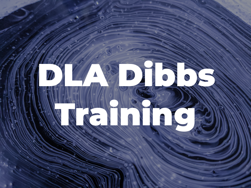 DLA Dibbs Training