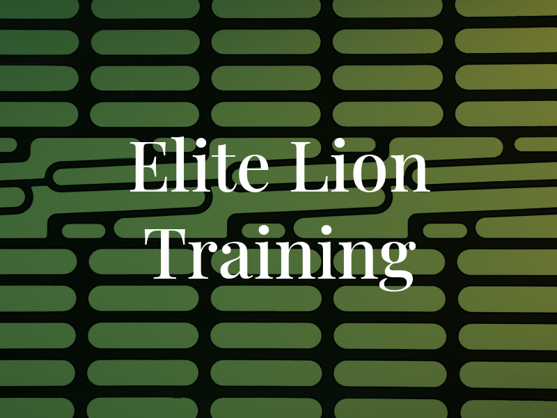 Elite Lion Training