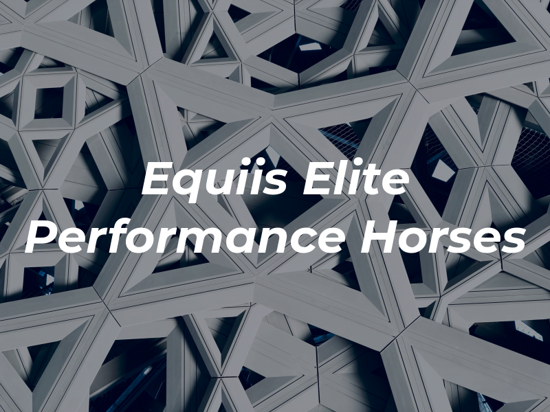 Equiis Elite Performance Horses