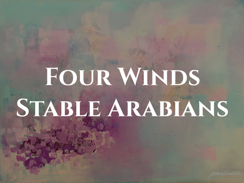 Four Winds Stable / Dez Rey Arabians