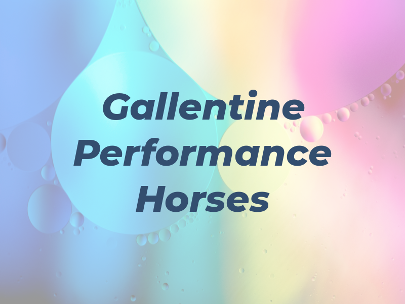 Gallentine Performance Horses