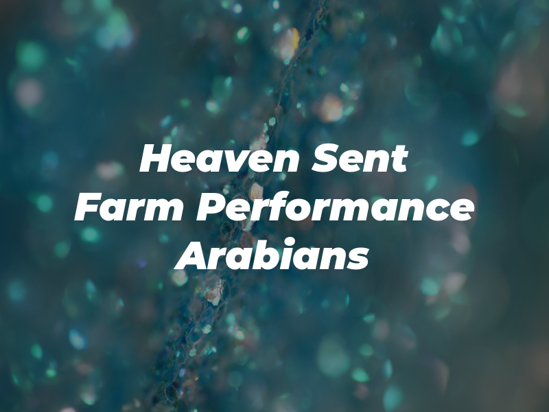Heaven Sent Farm Performance Arabians
