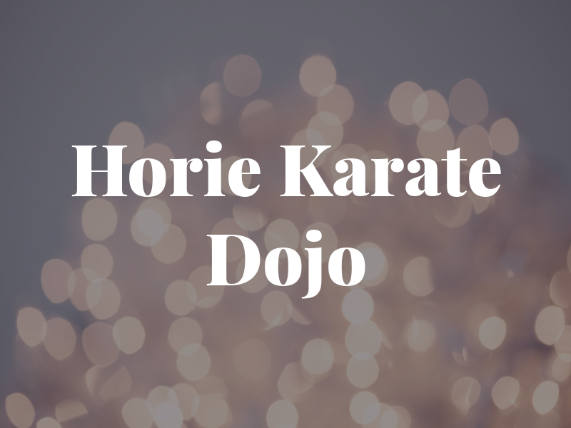 Horie Karate Dojo