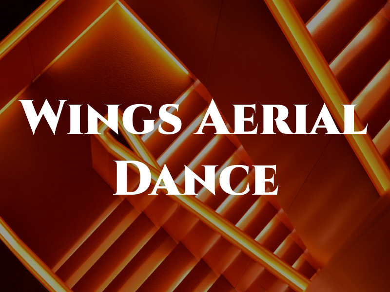 In the Wings Aerial Dance