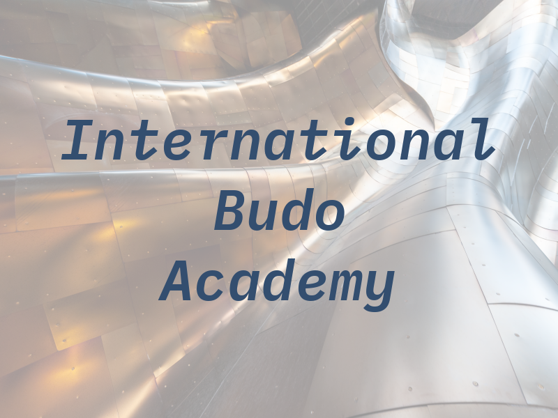 International Budo Academy