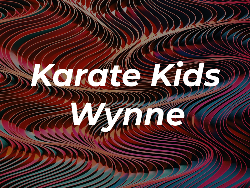 Karate For Kids Wynne