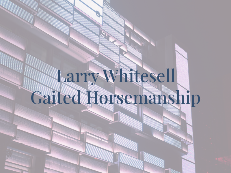 Larry Whitesell Gaited Horsemanship