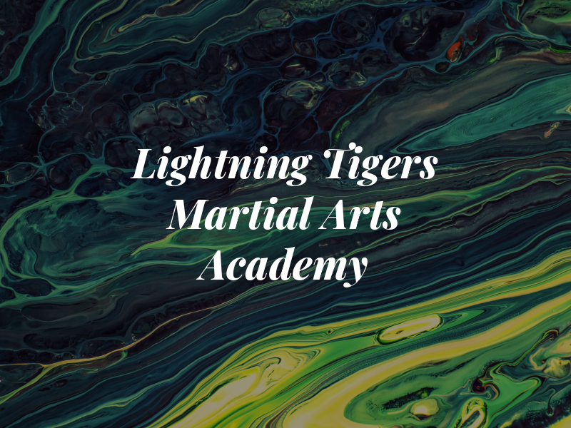 Lightning Tigers Martial Arts Academy