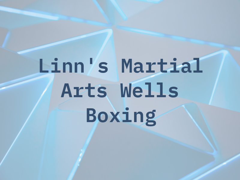 Linn's Martial Arts / Wells TWP Boxing