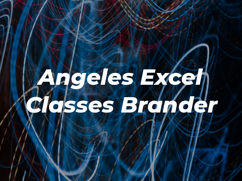 Los Angeles Excel Classes by Chi Brander