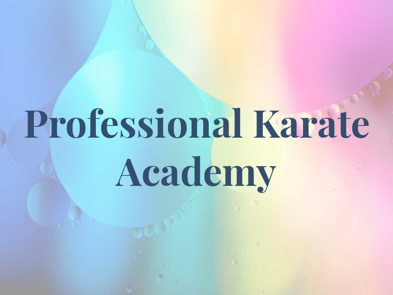 Professional Karate Academy