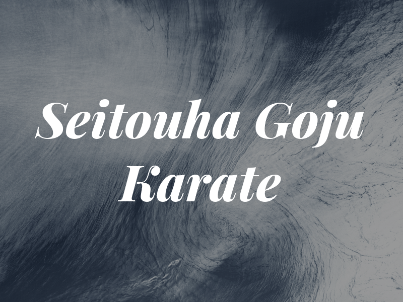 Seitouha Goju Ryu Karate & MMA