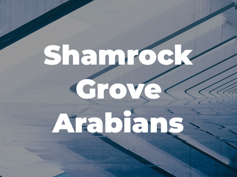 Shamrock Grove Arabians