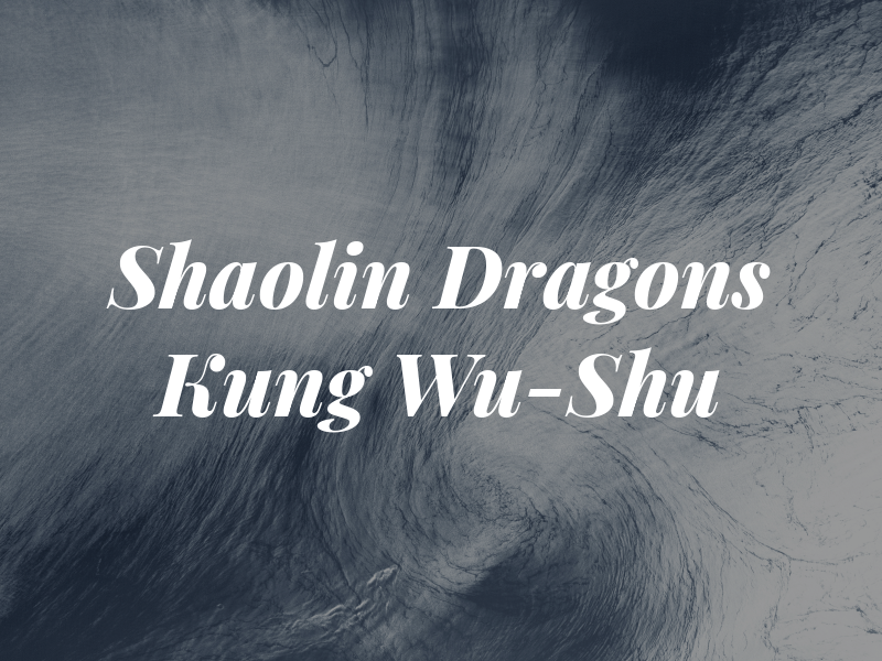 Shaolin Dragons Kung Fu Wu-Shu