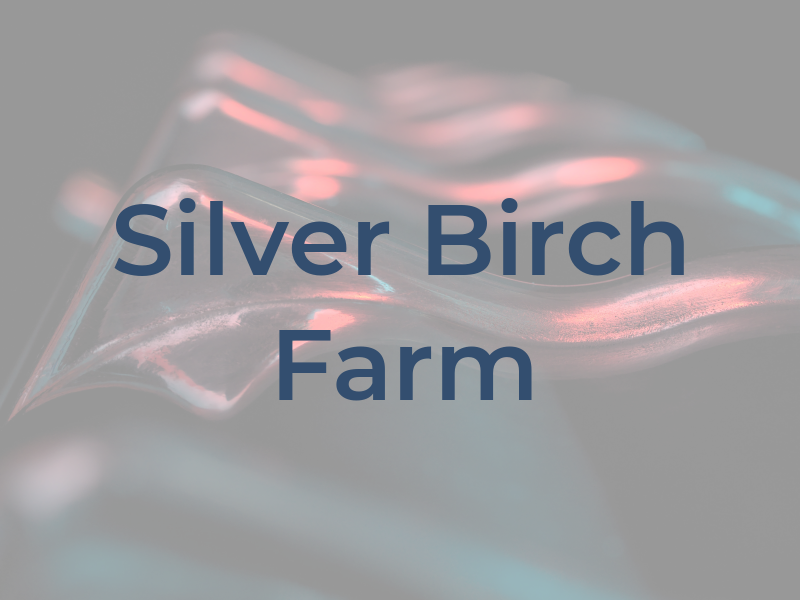 Silver Birch Farm