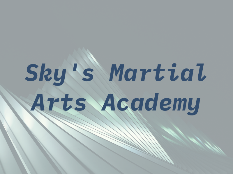 Sky's Martial Arts Academy