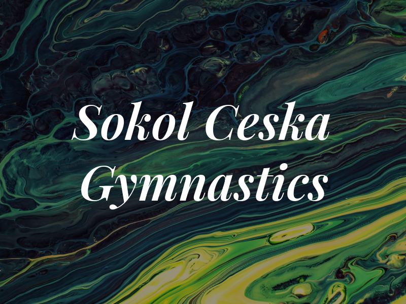 Sokol Ceska Sin Gymnastics