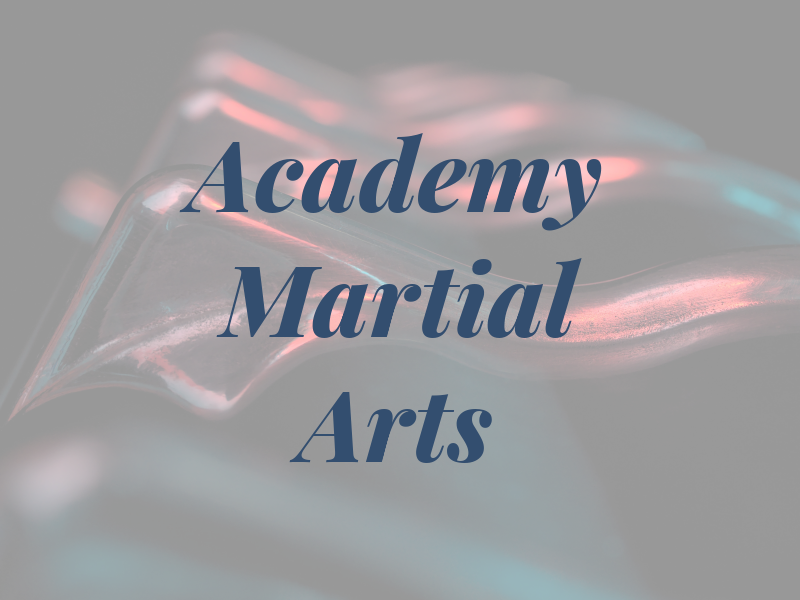 The Academy Of Martial Arts
