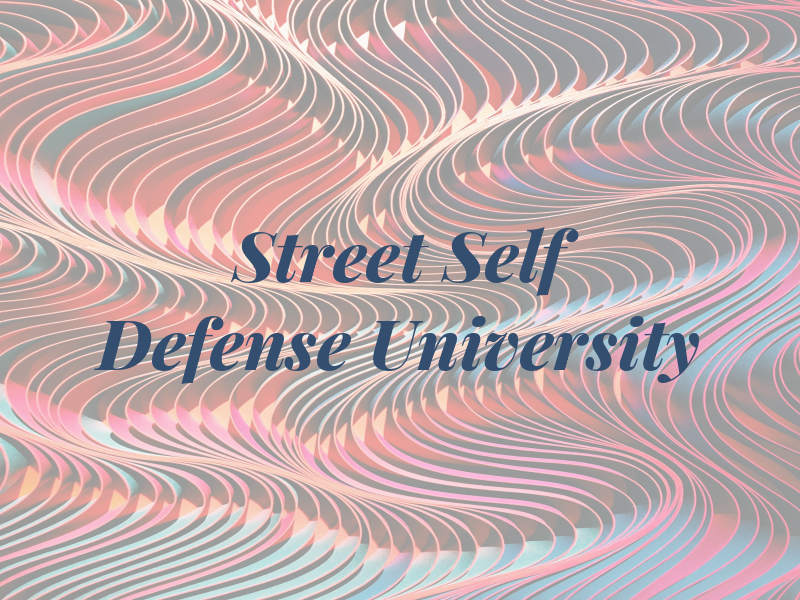 The Street Self Defense University