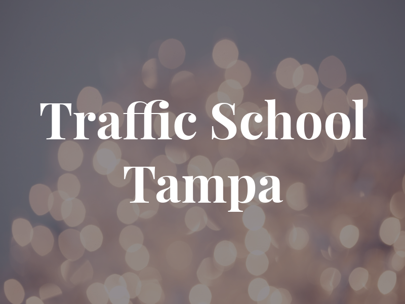 Traffic School of Tampa