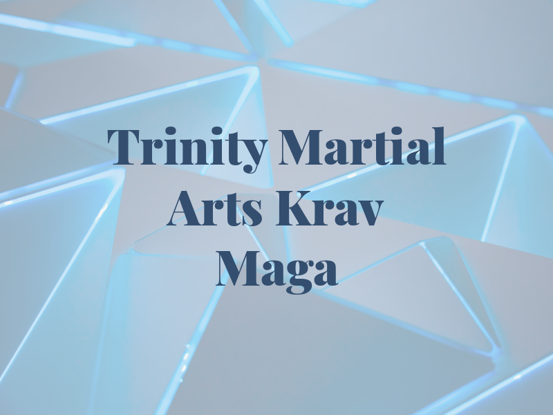 Trinity Martial Arts & Krav Maga