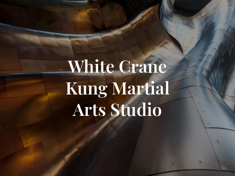 White Crane Kung Fu and Martial Arts Studio