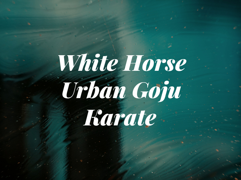 White Horse Urban Goju Karate