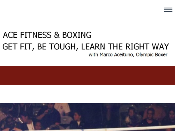 Ace Fitness Boxing