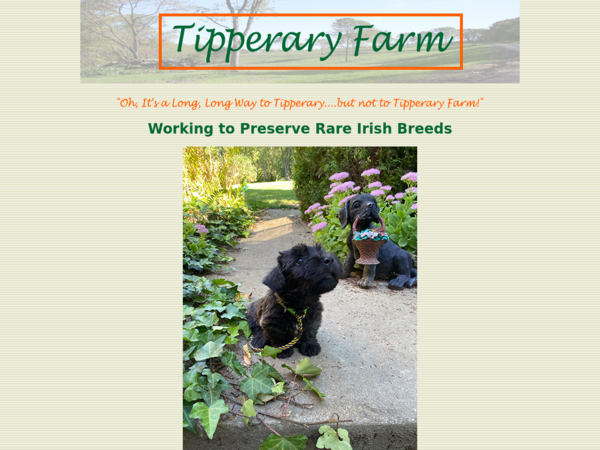 Tipperary Farm
