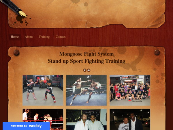 Mongoose Fight System