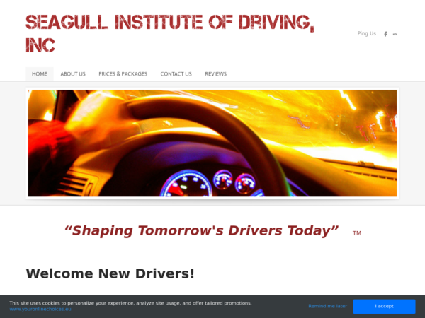 Seagull Institute of Driving